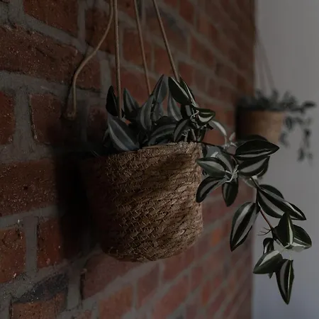 Junik - Deine Cityapartments In