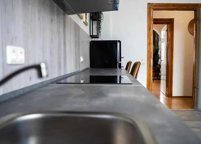 Junik - Deine Cityapartments In Apartamento