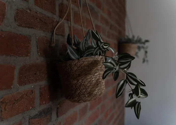 Junik - Deine Cityapartments In